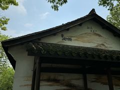 -西溪国家湿地公园