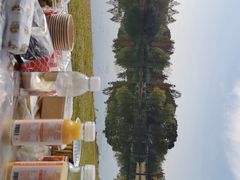-贡湖湾湿地公园