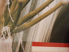 -一坐一忘云南菜(卓悦中心)