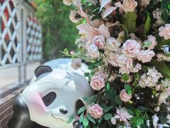 -轩客会(熊猫书店)