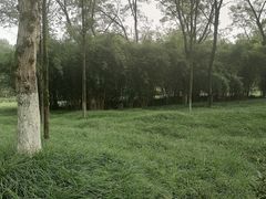 -重庆彩云湖湿地公园