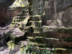 -缙云山景区