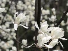-御花园·粤菜·海鲜火锅(中山公园店)