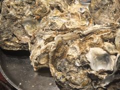 -蚝堡海鲜·威海菜·海肠捞饭·烧烤·亚洲吃蚝公司(幸福门店)