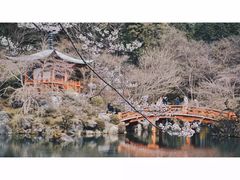 -醍醐寺