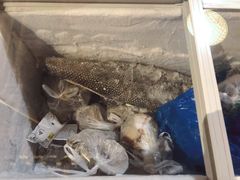 大马哈鱼-金明姬铁锅炖(东坝店)