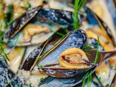 -壳里西餐厅Coquille Seafood Bistro(蒙自路店)