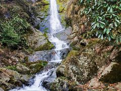 -东天目山风景区