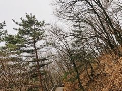 -帽儿山国家森林公园