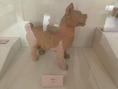 -北京动物园-畅观楼