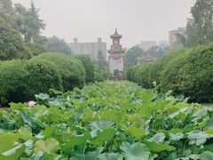 -四川大学(华西校区)