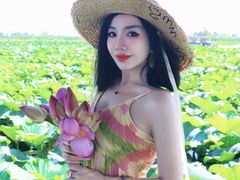 -白洋淀景区