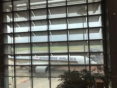 -新加坡航空公司(ION)