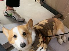 -40号厦门海鲜大排档(中山路店)