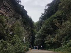 -夏霖九天银瀑风景区