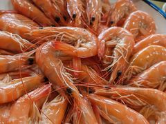 -鲤鱼塘农家山庄