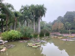 -中国科学院西双版纳热带植物园