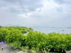 -品味杭州·粤式融合·海鲜小馆·钱江新城CBD