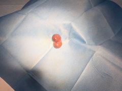 -芭比堂动物医院·犬猫全科·异宠专科(雁塔分院)