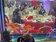 -良友·海鲜青岛菜(五四广场店)