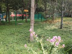 -回龙观体育文化公园