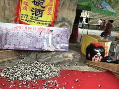-白洋淀景区
