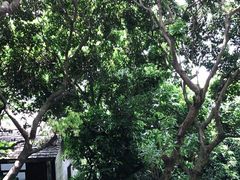 -青青世界
