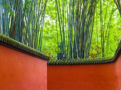 -安飞驰驾校·学车连锁(金高店)