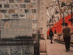 -丰都鬼城名山景区