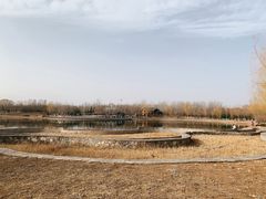 -永定河休闲森林公园