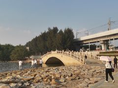 -宝安西湾红树林湿地公园