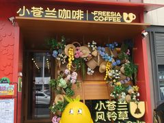 -小苍兰风铃草蛋糕甜品(沈阳店)