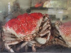 -悉尼鱼市场