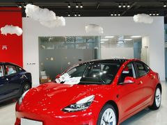 -TESLA 特斯拉(深圳观澜特斯拉直营钣喷中心)