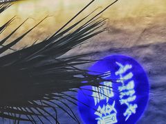 -酸喜·三度酸·贵州味