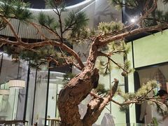 -绿茶餐厅(南翔印象城MEGA店)