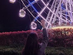 -琴岛之星摩天轮