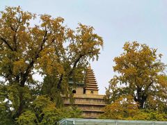 -北京石刻艺术博物馆(五塔寺)
