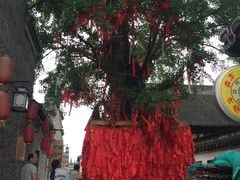 -云幽谷旅游区