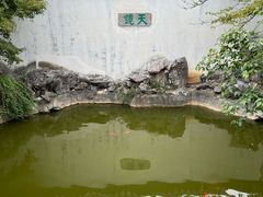 -常熟方塔园