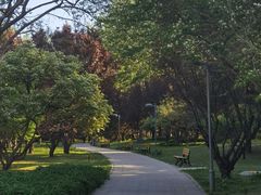 -仁和公园(顺义区)