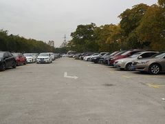 -共青国家森林公园-南大门停车场