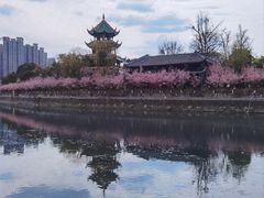-望江楼公园