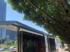 -重庆市江北嘴中央商务区中央公园