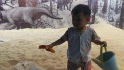 -恐龙探索乐园(磁器口店)