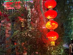 -白家大院·王府宫廷菜(苏州街店)
