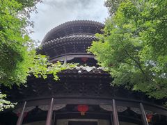 -八大山人梅湖景区