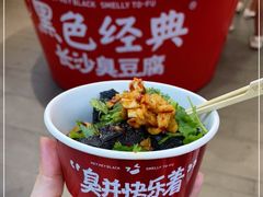 -黑色经典臭豆腐·湖南特产(坡子街店)