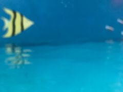 -广州融创水世界
