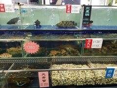 水产区-勝記酒家·37年老字号·经典粤菜(荔枝公园店)